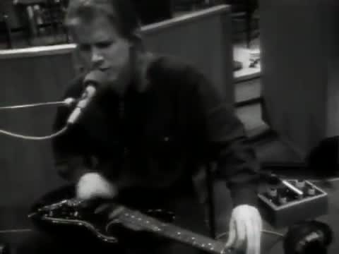 The Jeff Healey Band