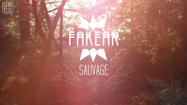 Fakear