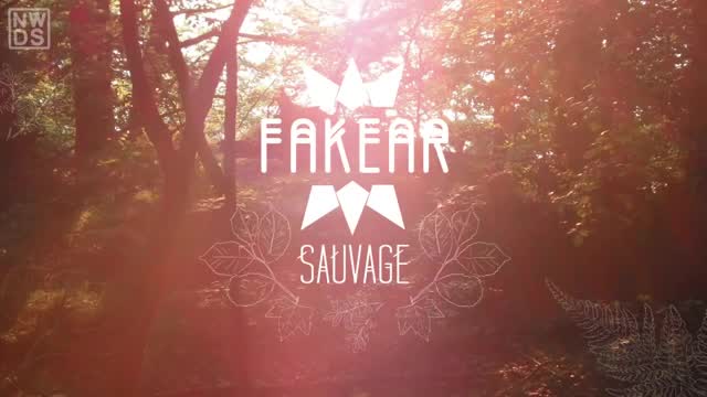 Fakear